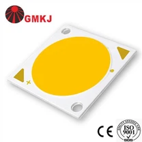 2828 COB LED 40W 120LM / W 130LM / W