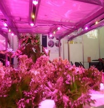 full spectrum led application